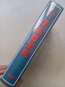 缉私要案组 VCD 【电视剧-----何政军 苏岩 王奎荣】21VCD