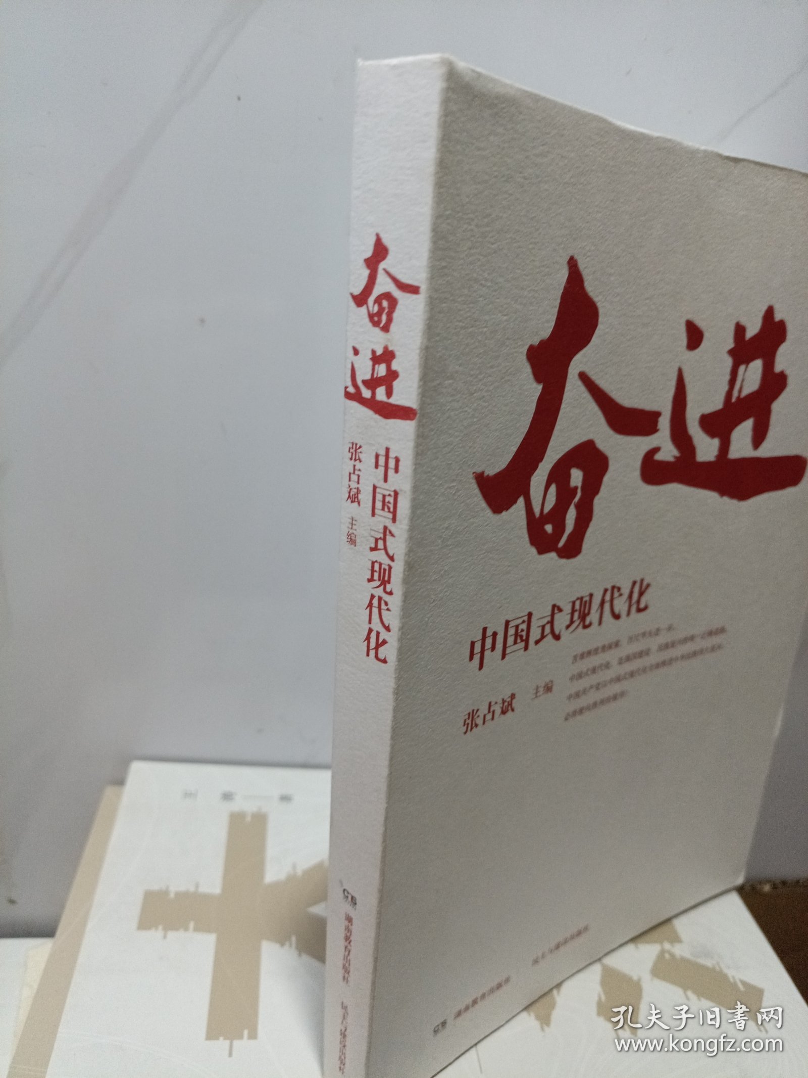 奋进中国式现代化