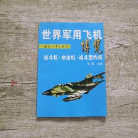 世界军用飞机博览：战斗机·攻击机·战斗轰炸机