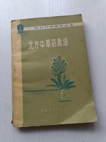 北方中草药栽培