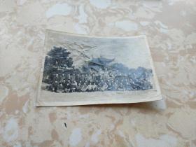 合影 老照片: 浙江大学第二系全体教师留影 1960年12月【孔网罕见 历史资料】