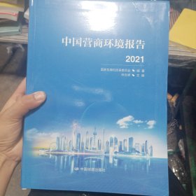 中国营商环境报告2021