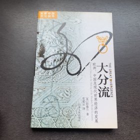 大分流：欧洲、中国及现代世界经济的发展