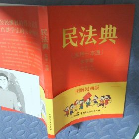 民法典（实用一本通）大字版