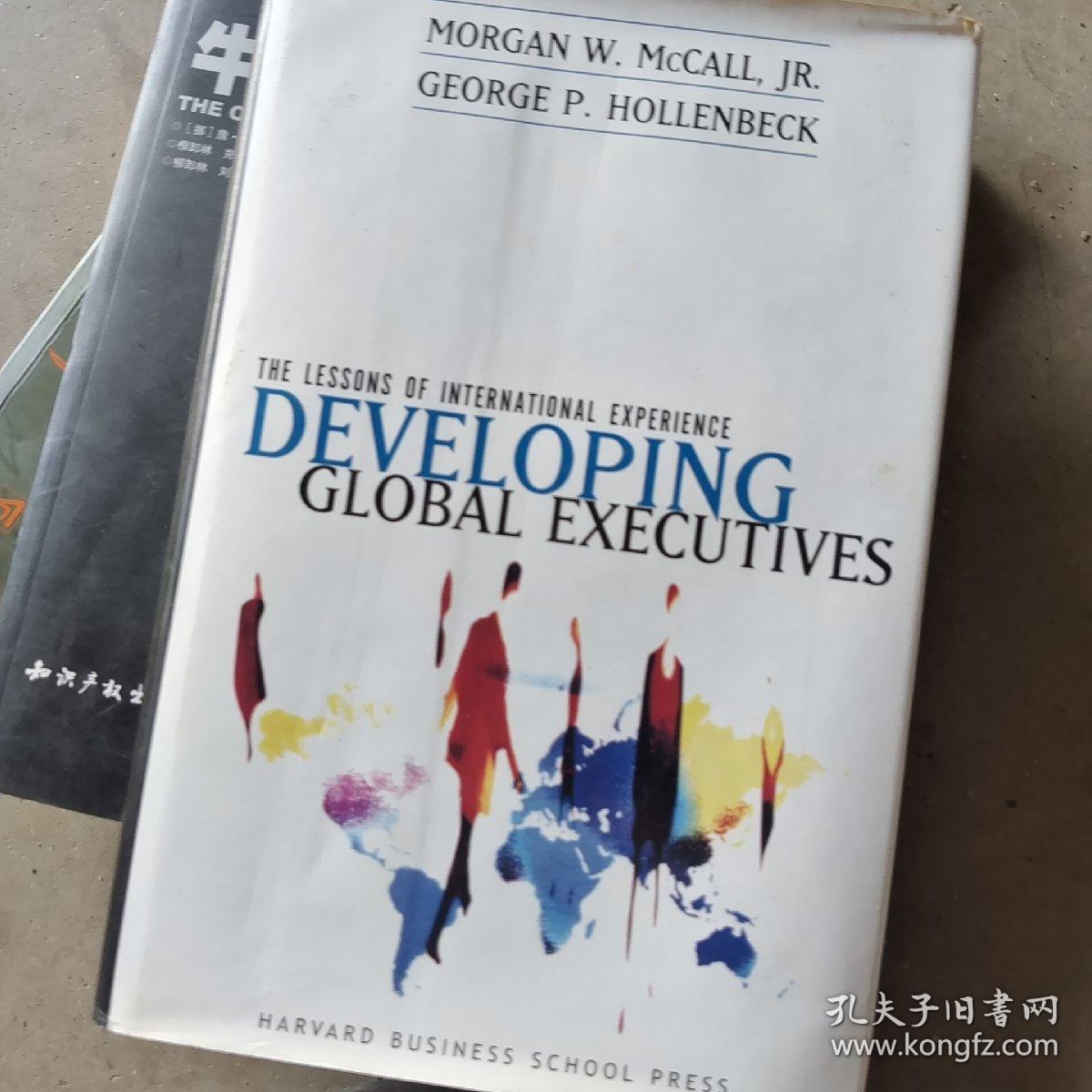 DevelopingGlobalExecutives