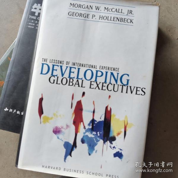 DevelopingGlobalExecutives