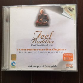 Feel Buddha 巴利语禅修音乐CD泰国购入