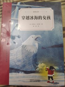 穿越冰海的女孩（奇想文库）瑞典著名儿童文学作家白乌鸦奖畅销小说