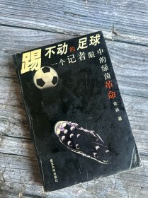 踢不动的足球:一个记者眼中的绿茵革命