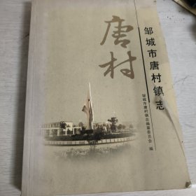 邹城市唐村镇志