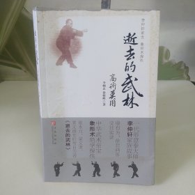 逝去的武林·高术莫用