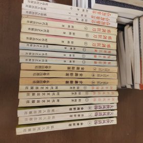 武侠—金庸续书30：一批品好的书，大侠风清扬，剑圣风清扬，血煞魔君等6套18册