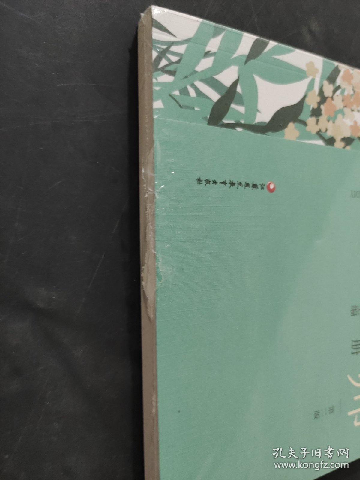 轻松做教师教室心里疏导使用手册