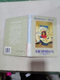 無家可歸的小鳥