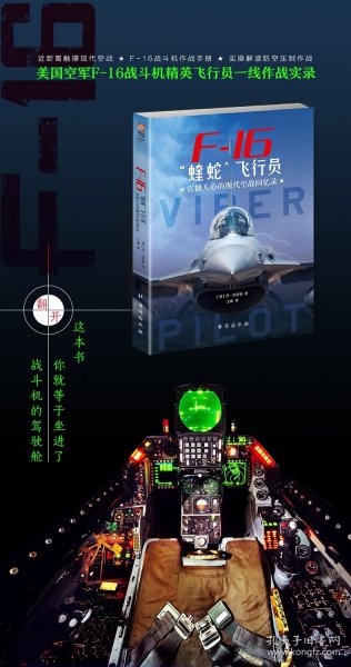 F-16“蝰蛇”飞行员 : 震撼人心的现代空战回忆录