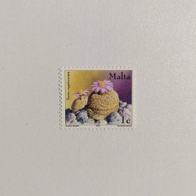 外国邮票 马耳他邮票非洲沙漠植物生石花 新票1枚 如图