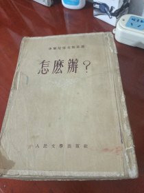 怎么办？(上下两巨册合售)