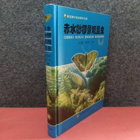 赤水桫椤景观昆虫