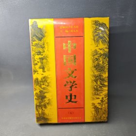 中國(guó)文學(xué)史（五)