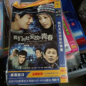 我们无处安放的青春 2DVD 佟大为、陈道明、刘威、张歆艺 等