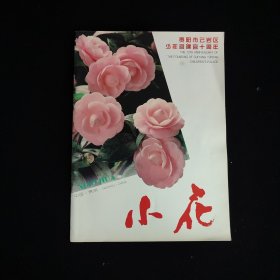 小花—贵阳市云岩区少年宫建宫十周年 画册