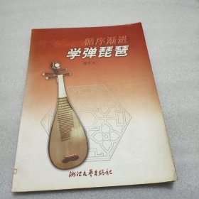 循序漸進(jìn)學(xué)彈琵琶