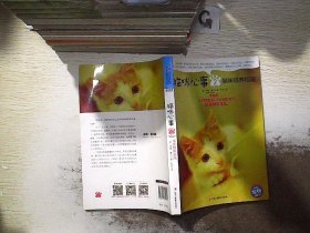 猫咪心事2：猫咪喂养指南