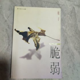 脆弱:长篇小说（店主藏书）