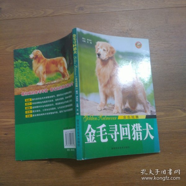 金色炫舞：金毛寻回猎犬