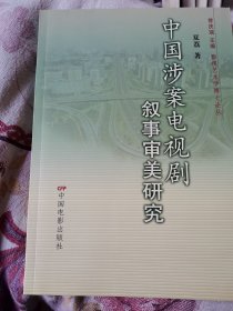 中国涉案电视剧叙事审美研究