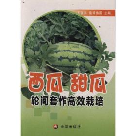 西瓜甜瓜轮间套作高效栽培 种植业 王毓洪//皇甫伟国