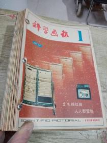 科学画报1981年1—12册全