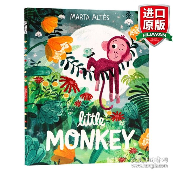 英文原版 Little Monkey 小猴子 英文版 进口英语原版书籍