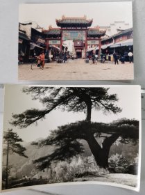 1994屯溪老街、1983九华山凤凰松老照片两种（210724）