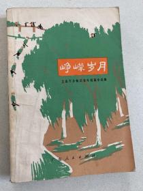 峥嵘岁月 上山下乡知识青年短篇小说集