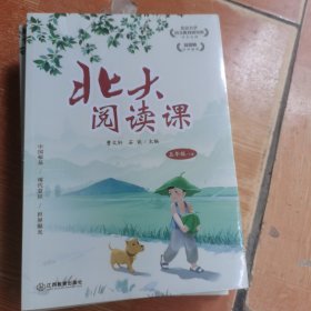 新版北大阅读课五年级下册小学生语文阶梯阅读理解强化训练阅读