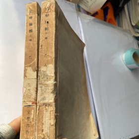 文学论稿上下册两本