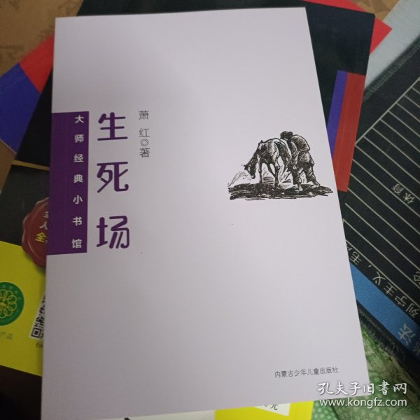 大师经典小书馆 生死场 中小学生七八九年级课外阅读，课外阅读书籍无障碍阅读 经典名著 萧红小说集 初高中生课外阅读书籍  青少年文学作品集