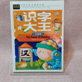 小学识字大全彩图注音版学前识字必备 儿童书