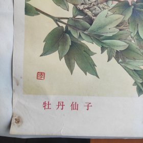 牡丹仙子 画 品相如图 江苏人民出版社