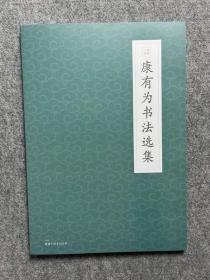 康有为书法选集 散落人间系列丛书 研究碑帖结合必备