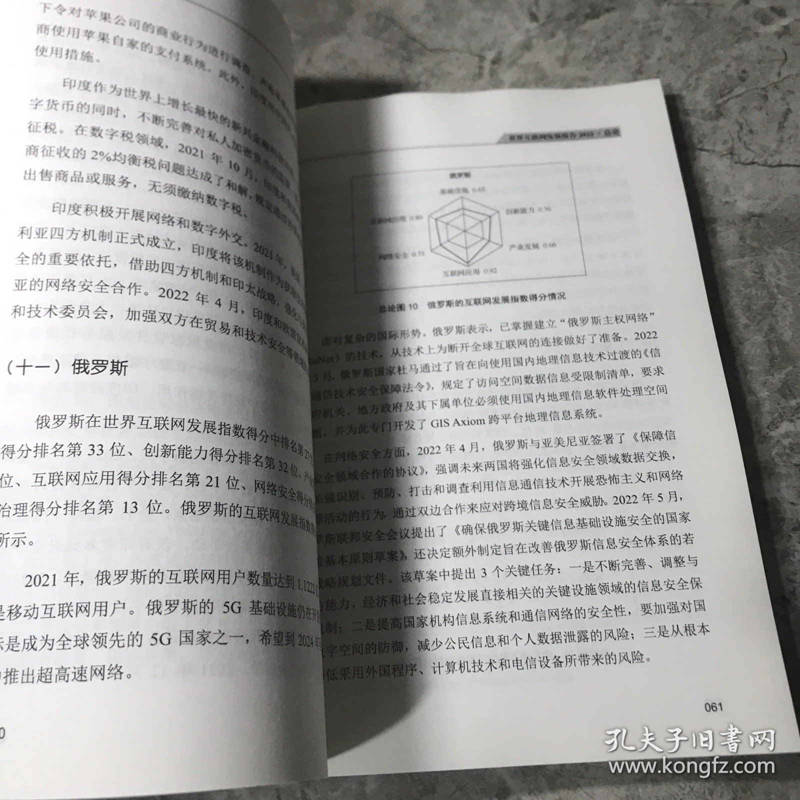 世界互联网大会蓝皮书 世界互联网发展报告（总论）2022 中国互联网发展报告 总论 2022