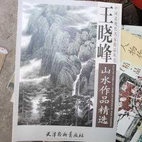 中国近现代名家精品丛书： 王晓峰山水作品精选 4开