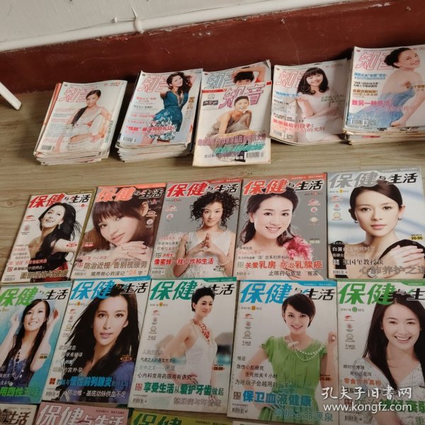 保健与生活杂志（2010年全年1一12，缺第6，12期）（封面人物分别为徐照媛，金莎，秦丽，涓子，章子怡，薇，李冰冰，李小冉，孙丽，左小青）（共计10本）