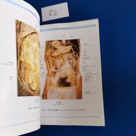 人体解剖学标本彩色图谱（第2版）