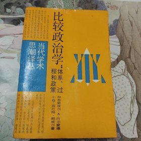 比较政治学：体系、过程和政策