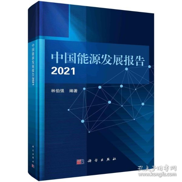 中国能源发展报告2021