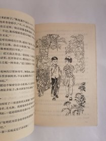 飞虎队与野猎队