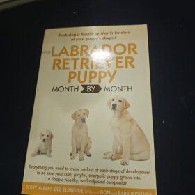 Your Labrador Retriever Puppy Month By Month