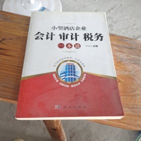 小酒店企业：会计 审计 税务一本通.